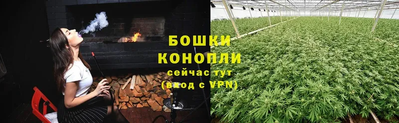 Каннабис индика  купить наркотик  Бабаево 